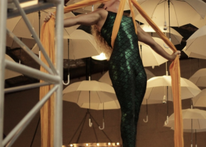 Circus Arts